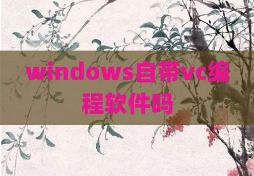 windows自带vc编程软件吗