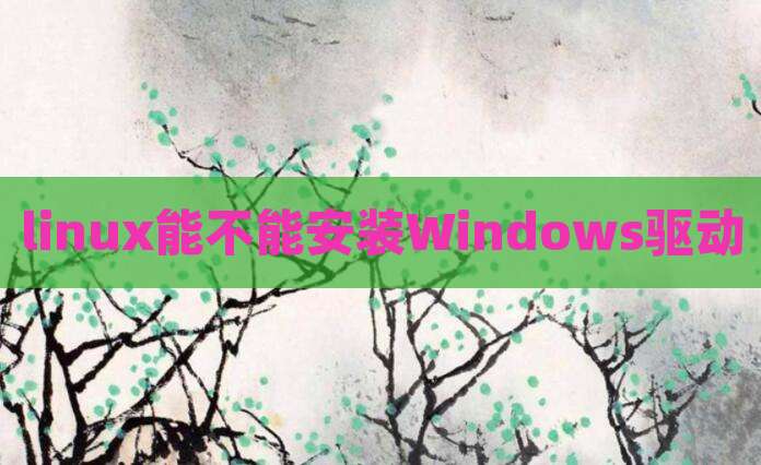 linux能不能安装Windows驱动