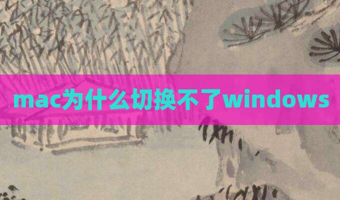 mac为什么切换不了windows