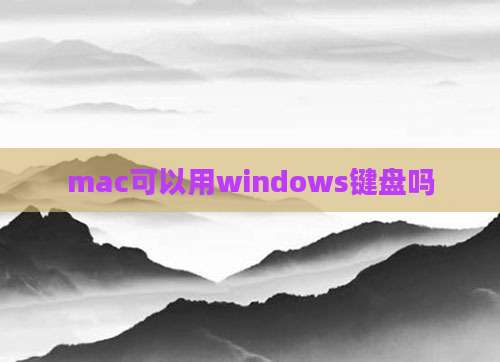 mac可以用windows键盘吗