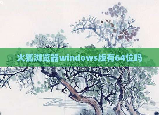 火狐浏览器windows版有64位吗