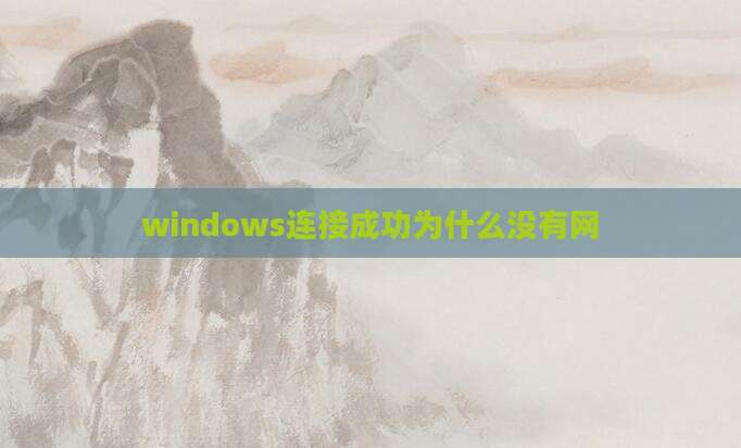 windows连接成功为什么没有网