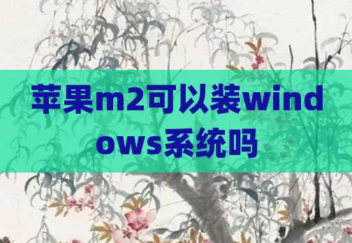 苹果m2可以装windows系统吗