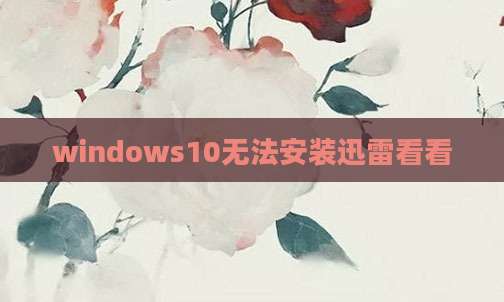 windows10无法安装迅雷看看