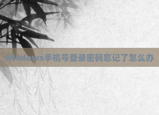 windows手机号登录密码忘记了怎么办