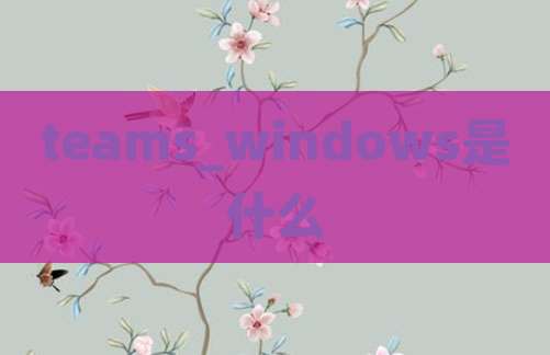 teams_windows是什么