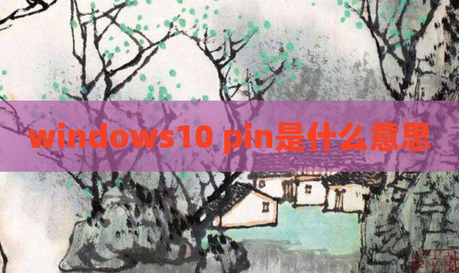 windows10 pin是什么意思