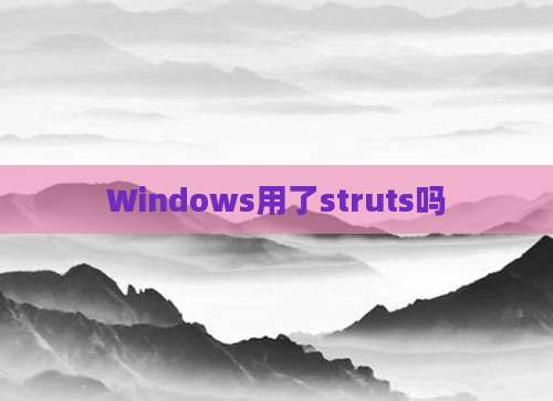 Windows用了struts吗
