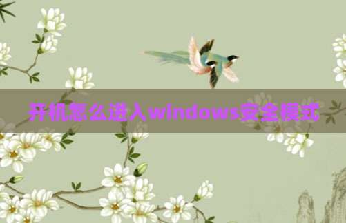 开机怎么进入windows安全模式