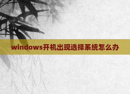 windows开机出现选择系统怎么办