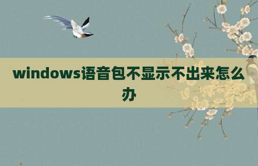 windows语音包不显示不出来怎么办