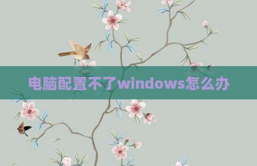 电脑配置不了windows怎么办