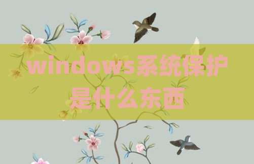 windows系统保护是什么东西