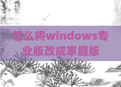怎么将windows专业版改成家庭版