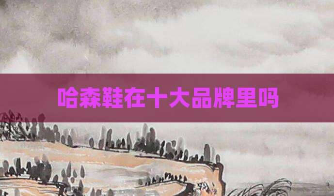 哈森鞋在十大品牌里吗