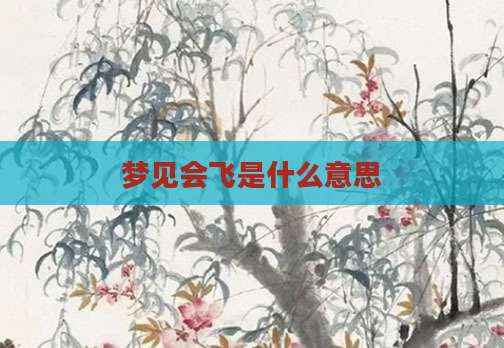 梦见会飞是什么意思