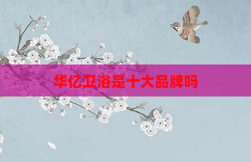 华亿卫浴是十大品牌吗