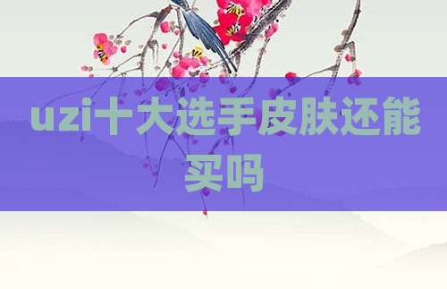uzi十大选手皮肤还能买吗