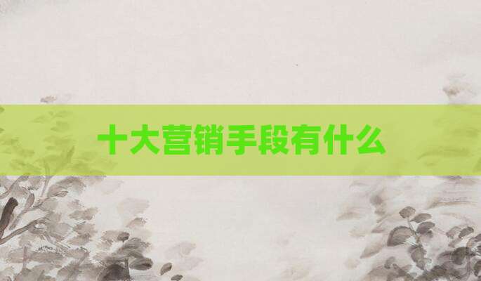 十大营销手段有什么