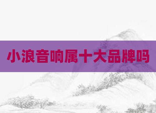 小浪音响属十大品牌吗