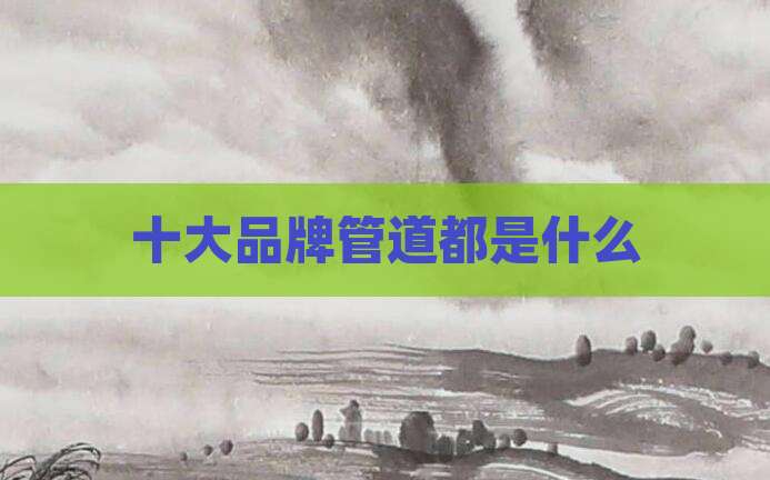 十大品牌管道都是什么