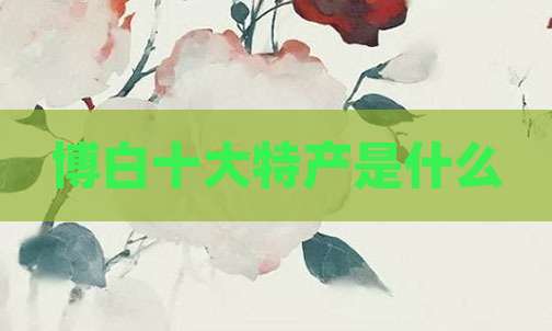 博白十大特产是什么