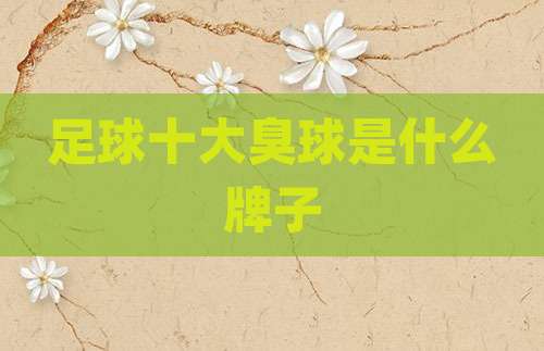足球十大臭球是什么牌子