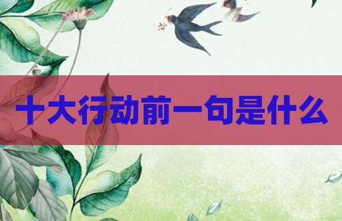 十大行动前一句是什么