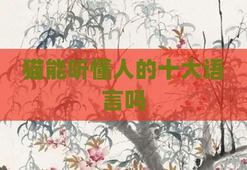 猫能听懂人的十大语言吗