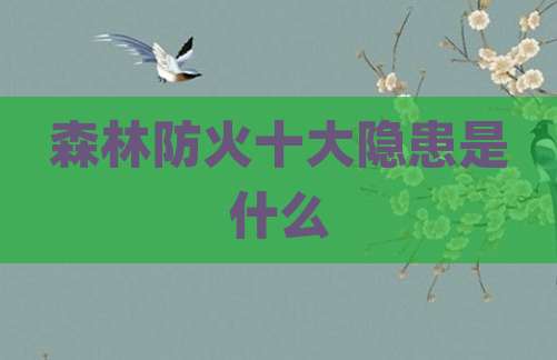 森林防火十大隐患是什么