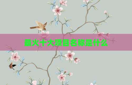 最火十大项目名称是什么