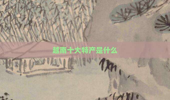 越南十大特产是什么