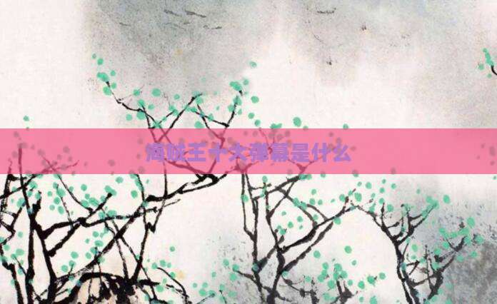 海贼王十大弹幕是什么
