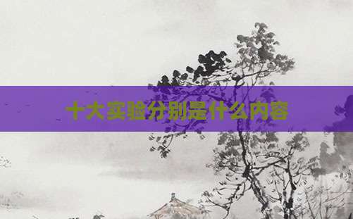十大实验分别是什么内容