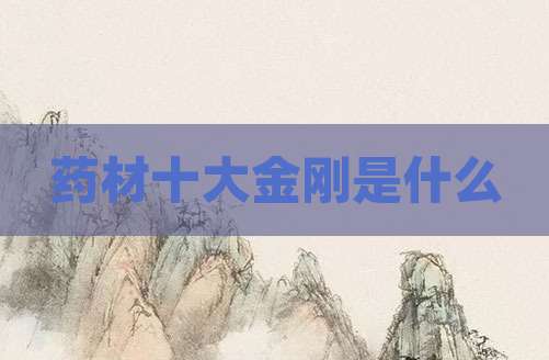 药材十大金刚是什么