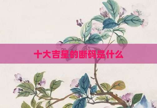 十大吉星的断码是什么