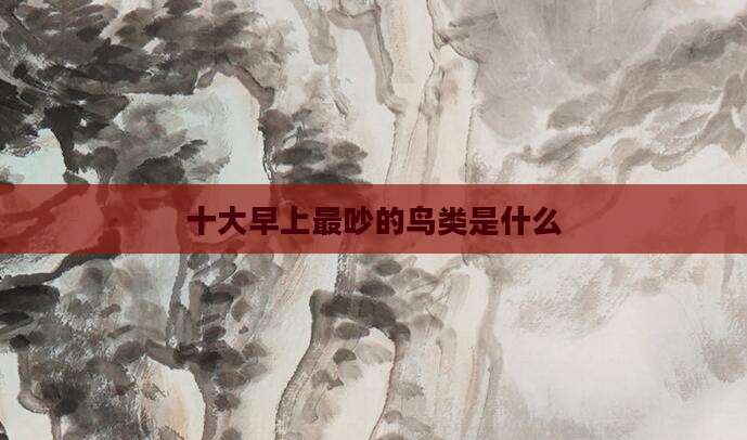十大早上最吵的鸟类是什么