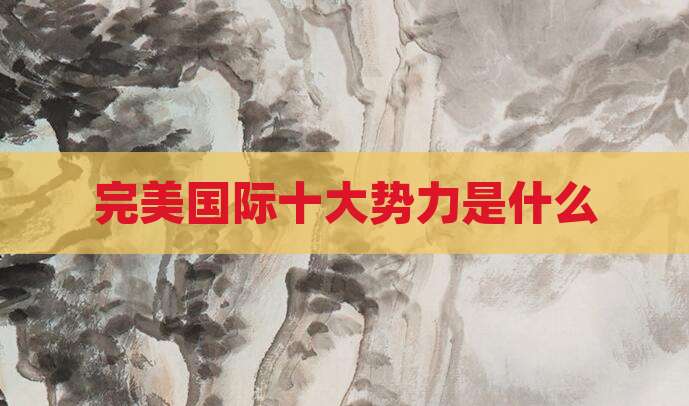 完美国际十大势力是什么