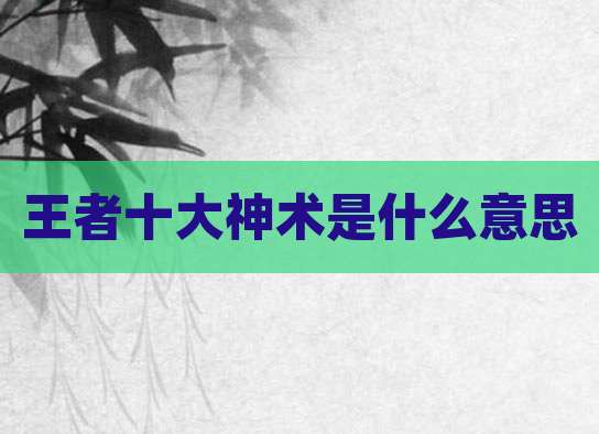 王者十大神术是什么意思