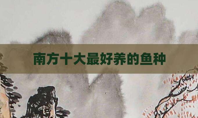 南方十大最好养的鱼种