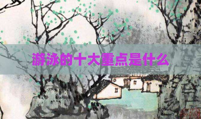 游泳的十大重点是什么
