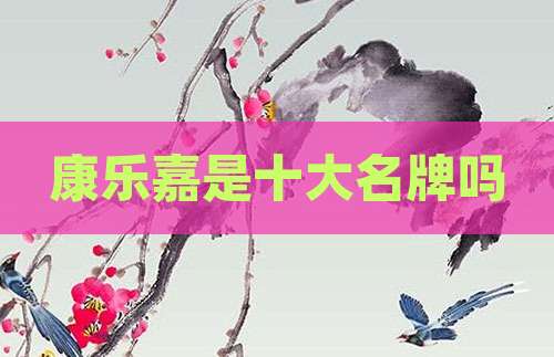 康乐嘉是十大名牌吗