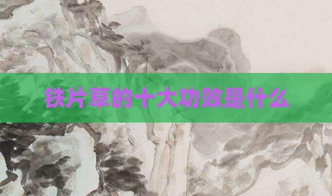 铁片草的十大功效是什么