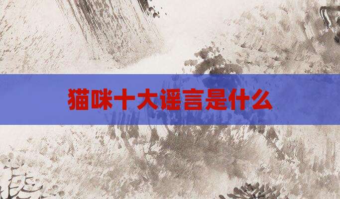 猫咪十大谣言是什么