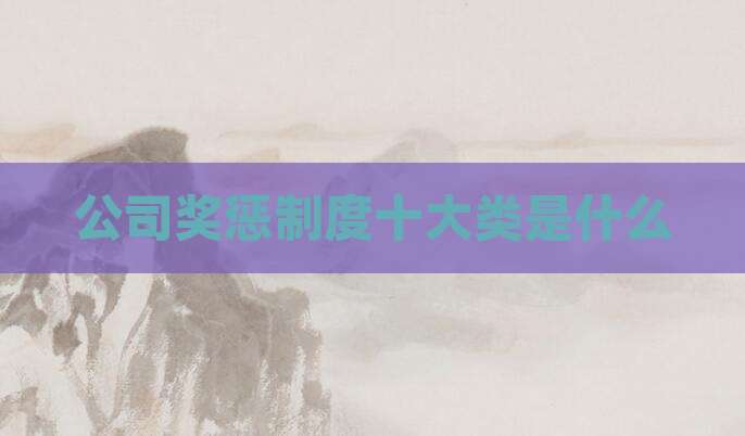 公司奖惩制度十大类是什么