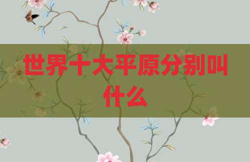 世界十大平原分别叫什么