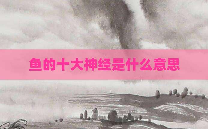 鱼的十大神经是什么意思