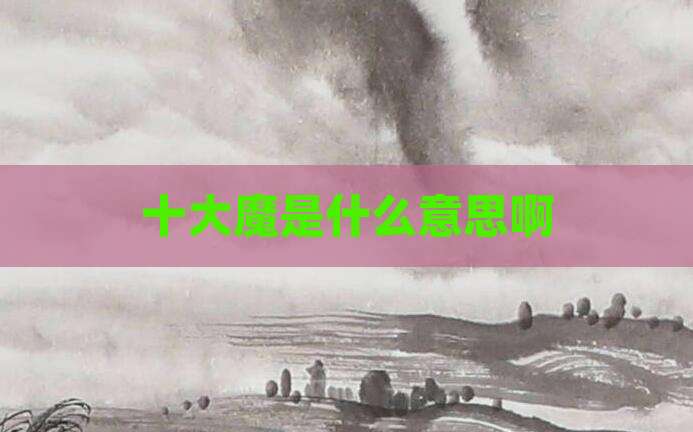 十大魔是什么意思啊