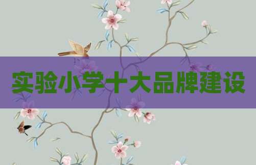 实验小学十大品牌建设