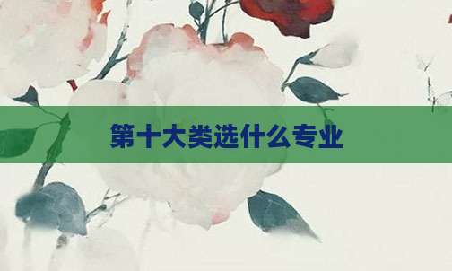 第十大类选什么专业